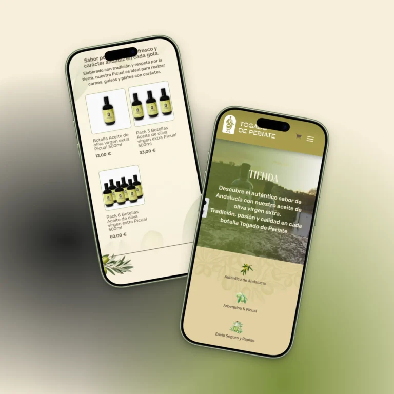 Togado de Periate - Weebik online store design (2)