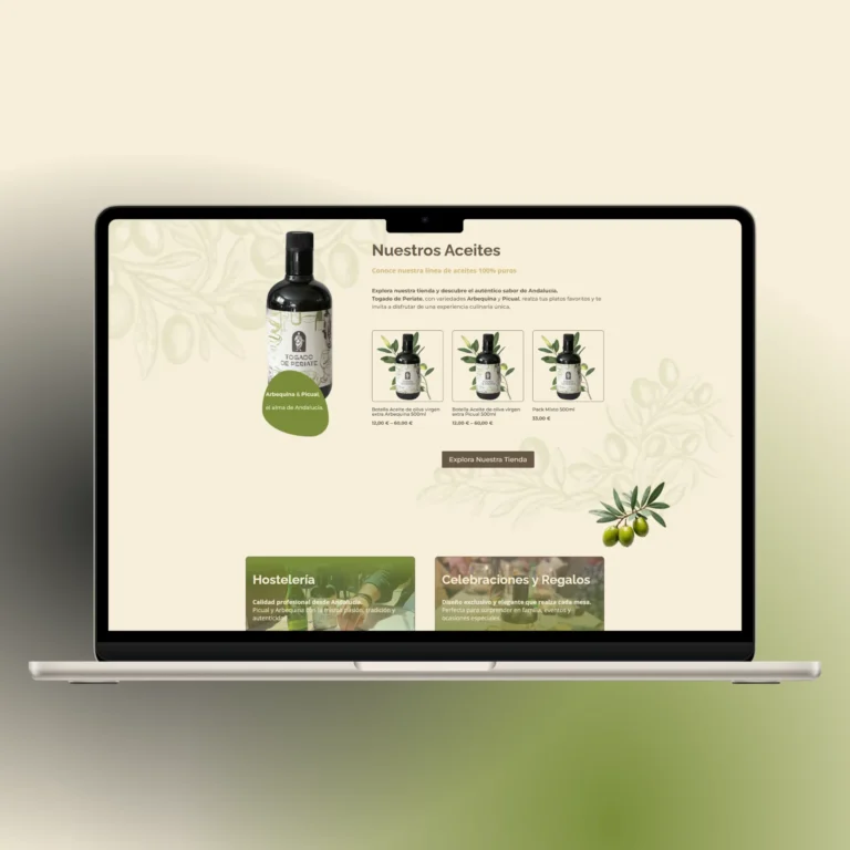 Togado de Periate - Weebik online store design (4)